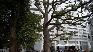 Plusieurs arbres devant un immeuble de sept étages